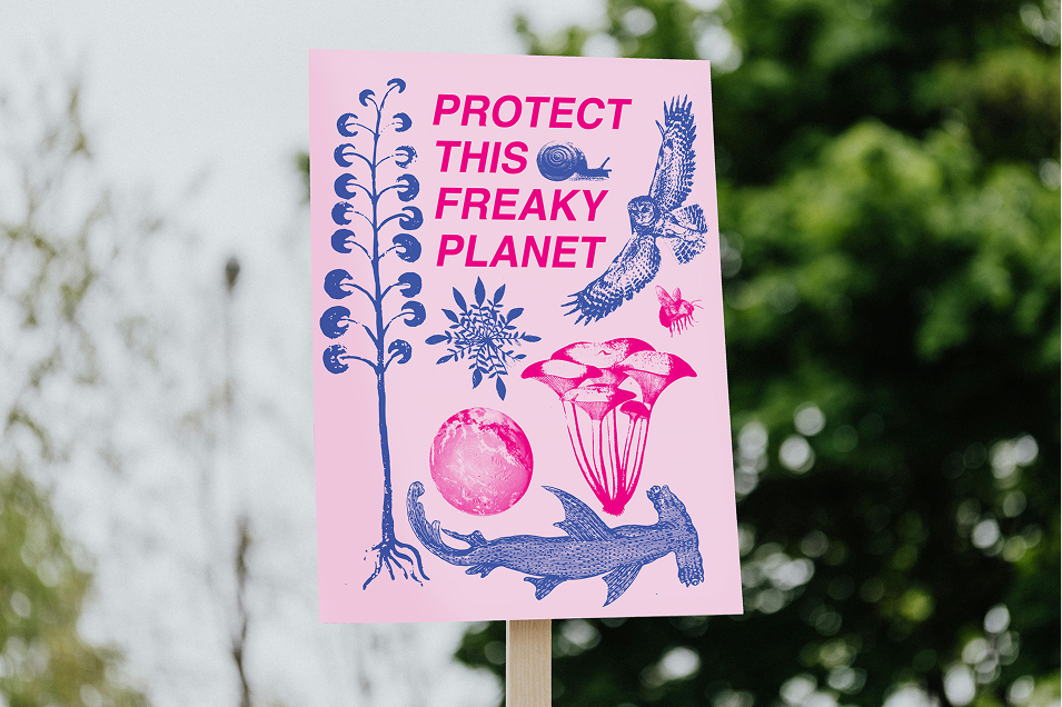 Volunteers finding climate change solutions as part of Crooked Ideas’ anti–doom initiative nonprofit climate project